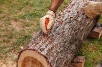 Kreda do zaznaczania 12 sztuki żółte STIHL 0000-881-1503 - 2